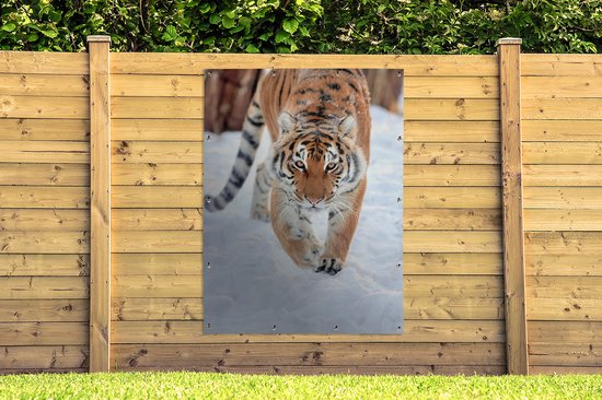 Tableau de jardin Tigre - Animaux - Tigre - Neige - Toile de jardin - Affiche de Décoration de jardin de jardin - 120x160 cm