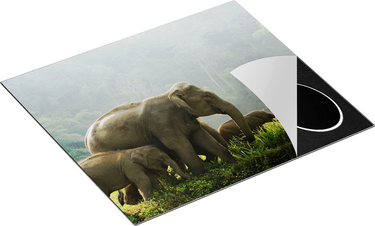 Chefcare Inductie Beschermer Olifanten Familie in de Jungle - Olifant - 58,3x51,3 cm - Afdekplaat Inductie - Kookplaat Beschermer - Inductie Mat
