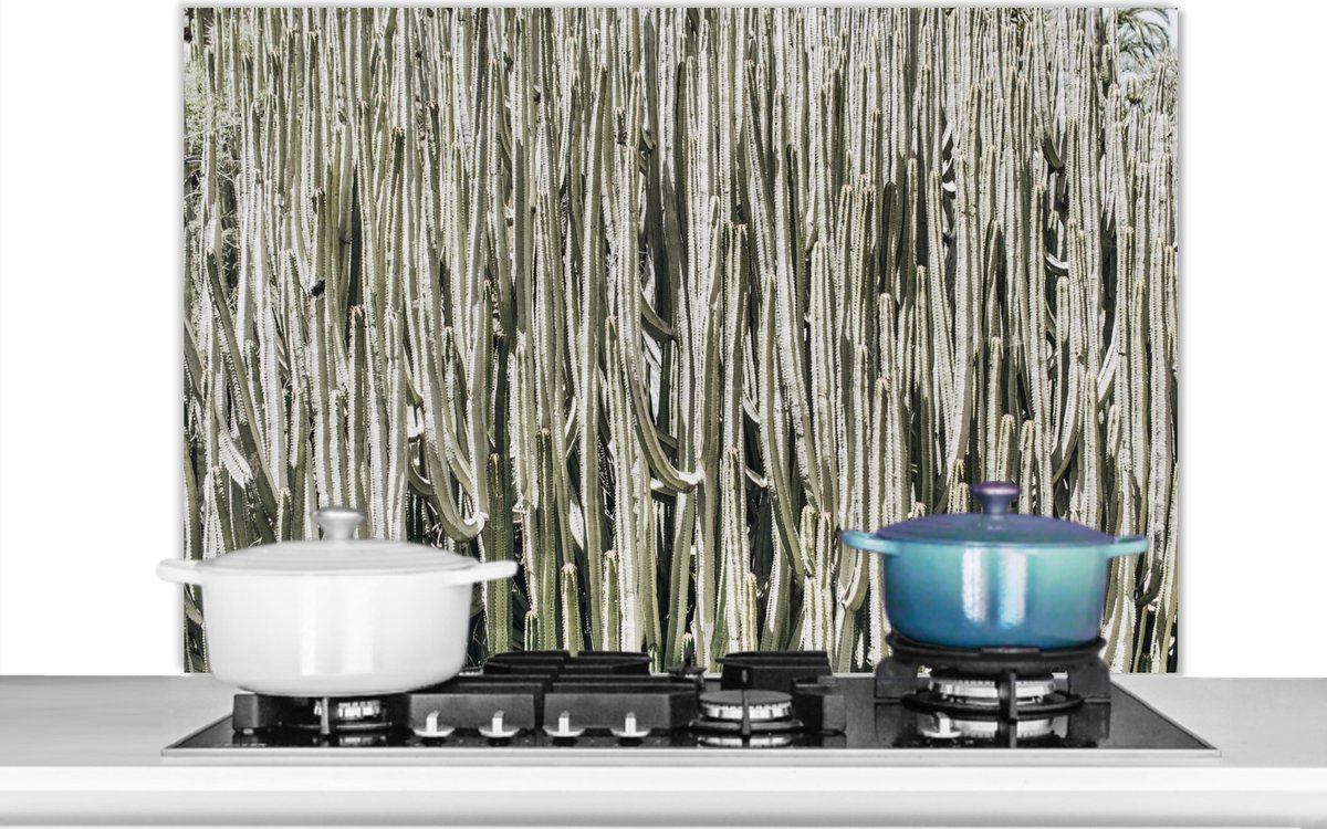 Spatscherm - Spatwand - Cactus - Natuur - Groen - Plant - Keuken decoratie - 100x65 cm