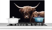 Spatscherm keuken - Wanddecoratie - Schotse hooglander - Dieren - Hoorn - Koe - Spatbord - Muurbeschermer - 80x55 cm