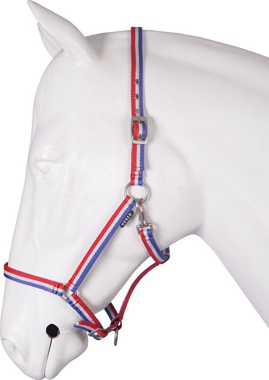 Halster met rood, wit en blauwe strepen op een witte paardenkop.