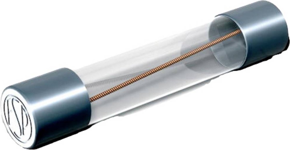 Püschel Feinsicherungen FSUT0,8A FSUT0,8A Buiszekering (Ø x l) 6.3 mm x 32 mm 0.8 A 500 V Traag -T- Inhoud 10 stuk(s)