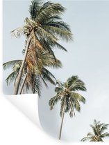 Stickers muraux - Palmiers - Été - Tropical - 120x160 cm - Film Adhésif XXL