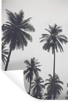 Muurstickers - Sticker Folie - Palmboom - Tropisch - Natuur - 40x60 cm - Plakfolie - Muurstickers Kinderkamer - Zelfklevend Behang - Zelfklevend behangpapier - Stickerfolie