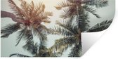 Stickers muraux - Palmier - Été - Tropical - 80x40 cm - Film adhésif