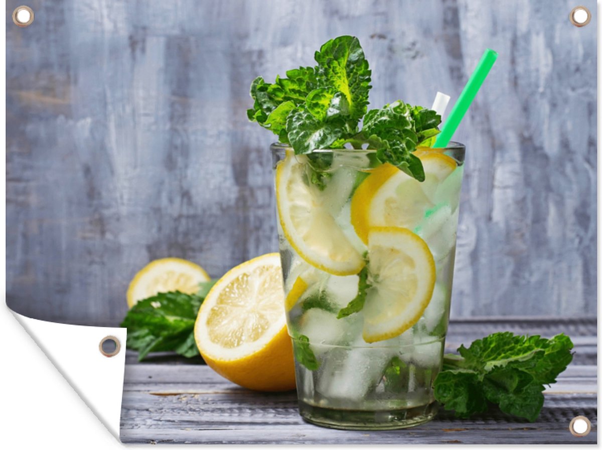 Poster de jardin Cocktail Fruits Herbes 120x90 cm Décoration murale Outdoor