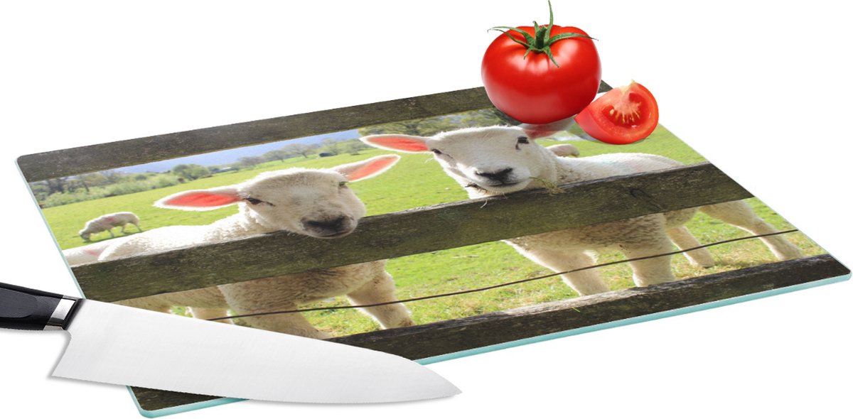 Glazen Snijplank - 39x28 - Schapen - Dieren - Boerderij - Snijplanken Glas