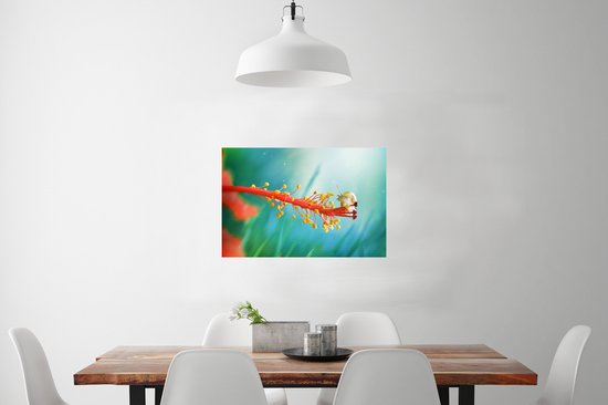 Escargot sur papier affiche fleur colorée 90x60 cm - Tirage photo sur affiche (décoration murale salon / chambre)