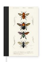 Notitieboek - Schrijfboek - Bijen - Vintage - Insecten - Notitieboekje klein - A5 formaat - Schrijfblok