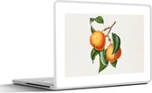 Laptop sticker - 11.6 inch - Fruit - Eten - Bladeren - 30x21cm - Laptopstickers - Laptop skin - Cover
