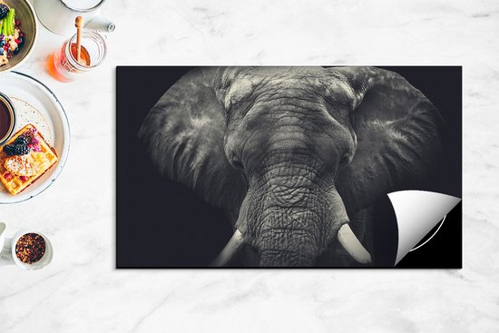 Chefcare Inductie Beschermer Olifantenkop - Olifant - Zwart Wit - 91,2x52 cm - Afdekplaat Inductie - Kookplaat Beschermer - Inductie Mat
