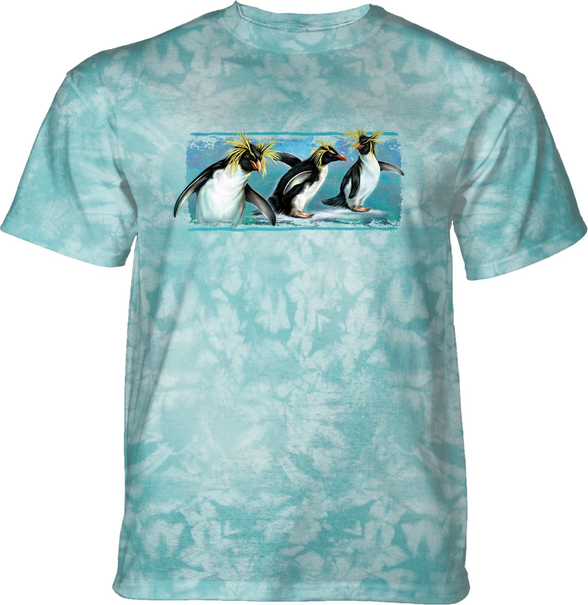 4xl band 2024 t shirts