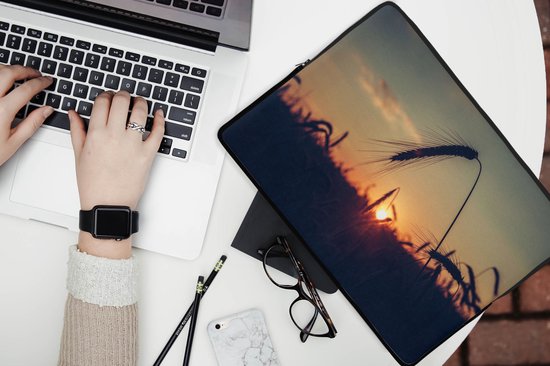Laptophoes 13 inch - Gras - Herfst - Zonsondergang - Seizoenen - Landschap - Laptop sleeve - Binnenmaat 32x22,5 cm - Zwarte achterkant