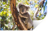 Muurstickers - Sticker Folie - Koala - Eucalyptus - Boom - 30x20 cm - Plakfolie - Muurstickers Kinderkamer - Zelfklevend Behang - Zelfklevend behangpapier - Stickerfolie