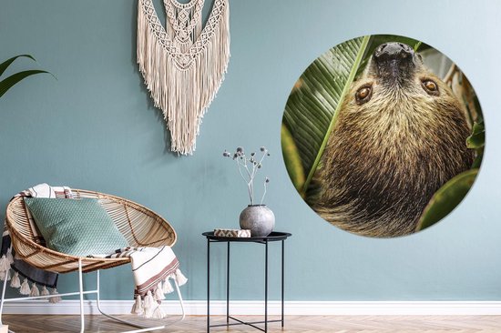 WallCircle - Wall Circle - Wall Circle Indoor - Paresseux - Feuilles - Animal - 120x120 cm - Décoration murale - Peintures Ronds XXL