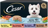 Cesar Natvoer Multipack Senior 4x150 gr  | 4150