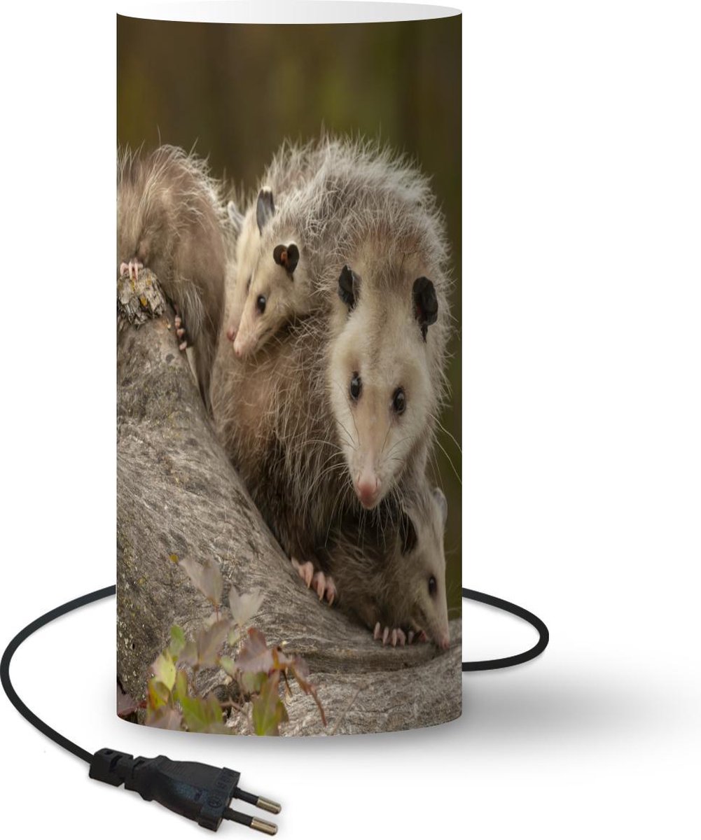 Lamp - Nachtlampje - Tafellamp slaapkamer - Virginiaanse opossum met jongen - 54 cm hoog - Ø24.8 cm - Inclusief LED lamp