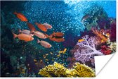 Poster Oranje vissen in een koraalrif - 120x80 cm