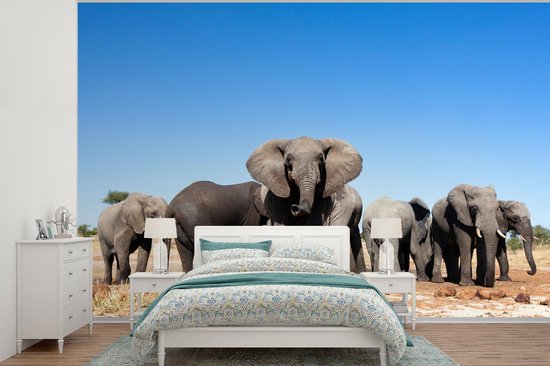 Papier peint - Papier peint photo Éléphants - Animaux - Water - Largeur 525 cm x hauteur 350 cm