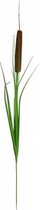 kunstplant Typha lvs 90 cm zijde groen/bruin