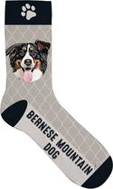 sokken Bernese mountain dog polyester maat 37-42