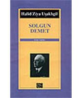 Solgun Demet