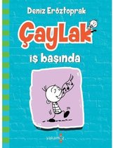 Çaylak İş Başında