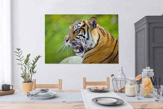 Toile de tigre rugissant 120x80 cm - Tirage photo sur toile (Décoration murale salon / chambre) / Peintures sur toile animaux