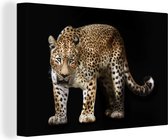 Canvas Schilderij Luipaard - Wild - Zwart - 60x40 cm - Wanddecoratie