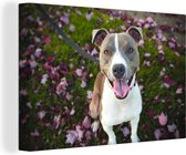 Canvas Schilderij Hond - Gras - Bloemen - 30x20 cm - Wanddecoratie