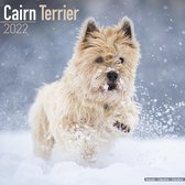 Cairn Terrier Kalender 2022