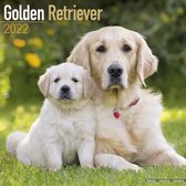 Golden Retrievers Kalender 2022