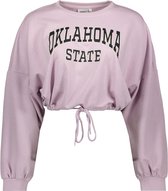 Only Trui Onlessa Life L/s O-neck Cc Swt 15236612 Lavender Frost/oklahoma Dames Maat - L