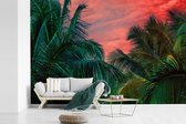 Behang - Fotobehang Palm - Tropisch - Jungle - Breedte 420 cm x hoogte 280 cm