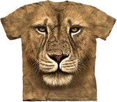 T-shirt Lion Warrior M