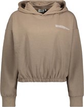 Only Trui Onlcooper Life L/s Reg Hood Swt 15248996 Walnut Dames Maat - M