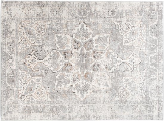 Tapiso Valley Tapis Salon Chambre Gris Clair Cadre Design Moderne Fleurs Durable Vintage Haute Qualité Tapis Taille - 200x300