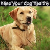 Keep your dog healthy