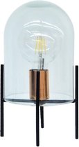Glasbellamp + Led Bulb aangeboden 16.5x16.5xh50cm