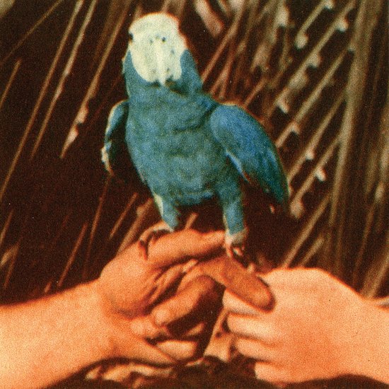 Andrew Bird - Are You Serious (CD)