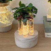 Stekmix - New York glas - Plantje in vaasje  Hydroponie -↑ 22-30 cm - Pot-Ø15 cm