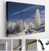 Surreal ir photo of landscape with trees under cloudy sky - the art of our world and plants in the invisible infrared camera spectrum - Modern Art Canvas - Horizontal - 1994922755