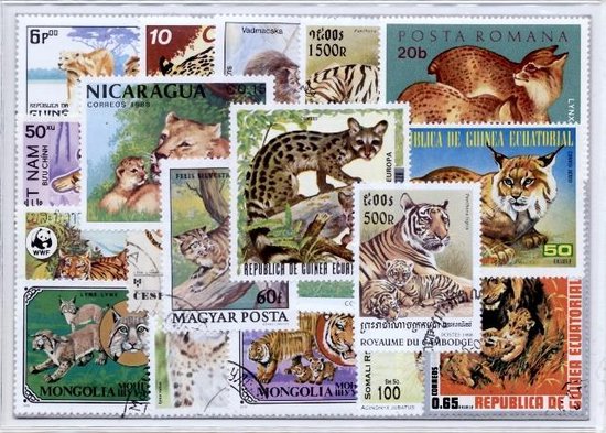 Thumbnail van een extra afbeelding van het spel Katachtigen – Luxe postzegel pakket (A6 formaat) : collectie van 50 verschillende postzegels van katachtigen – kan als ansichtkaart in een A6 envelop - authentiek cadeau - kado tip - geschenk -kaart - kat - kater -  tijger - katten - panter - cheeta