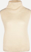 Steppin' Out Herfst/Winter 2021 Trui Jeff Vrouwen - Regular Fit - Nylon - Beige (S)