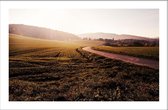 Walljar - Winding Road - Muurdecoratie - Poster met lijst