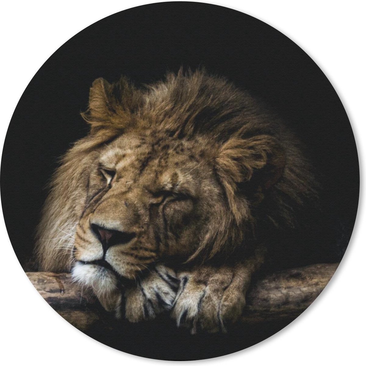 Muismat rond 40x40 cm - Mousepad Leeuw - Boom - Bruin - Ronde muismatten