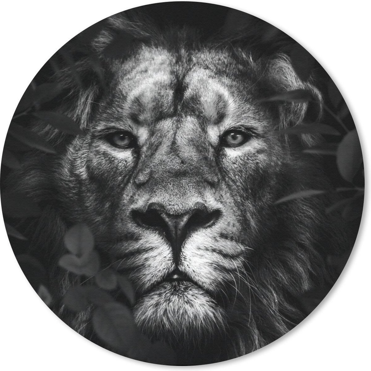 Muismat rond 40x40 cm - Mousepad Leeuw - Dieren - Jungle - Zwart - Wit - Ronde muismatten