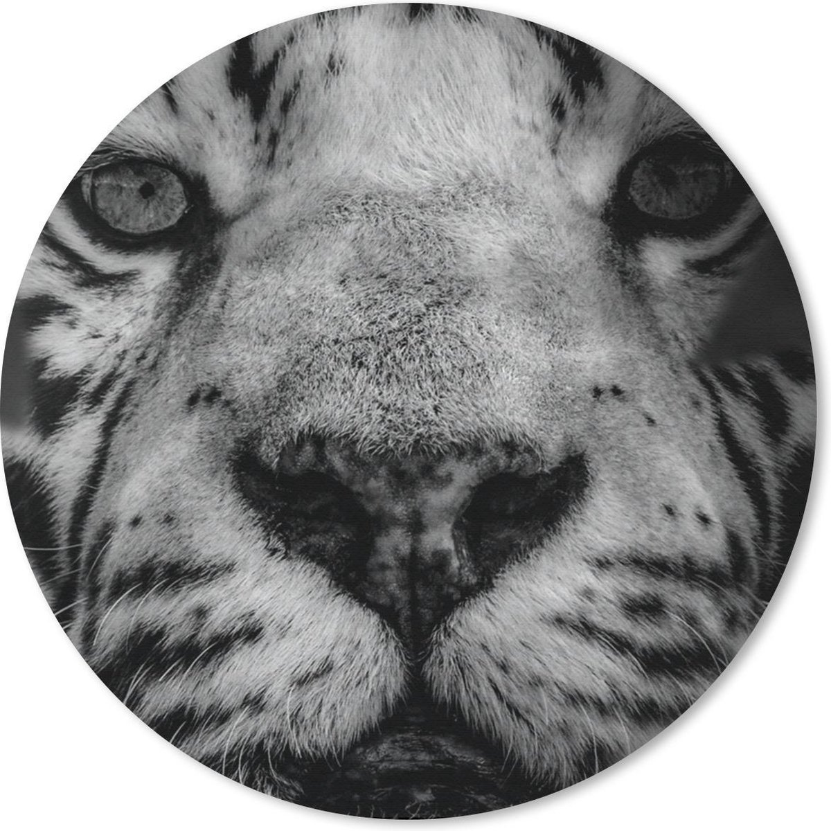 Muismat rond 40x40 cm - Mousepad Jungle - Tijger - Zwart - Wit - Ronde muismatten
