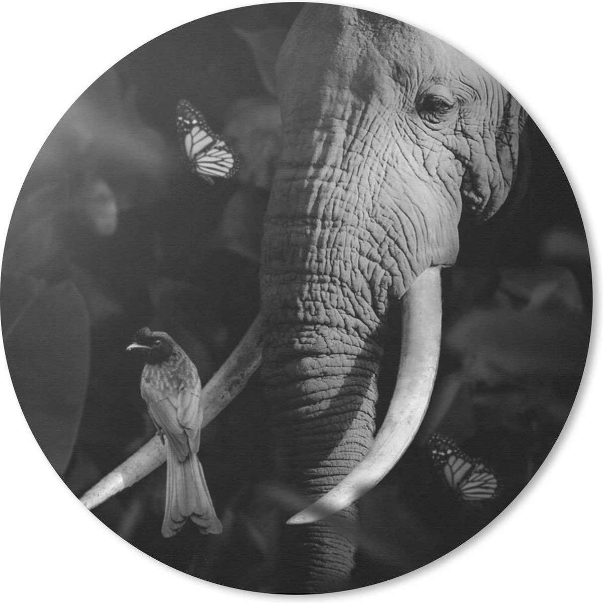 Muismat rond 50x50 cm - Mousepad Vogel - Olifant - Jungle - Zwart - Wit - Ronde muismatten