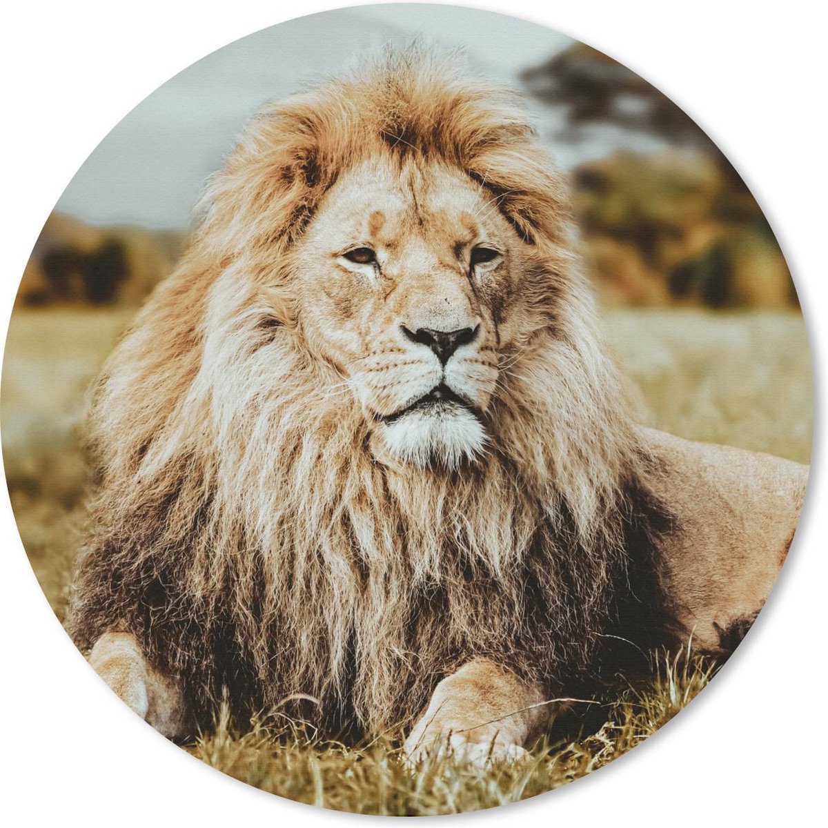 Muismat rond 40x40 cm - Mousepad Dieren - Wild - Bruin - Ronde muismatten